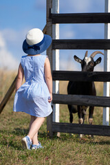 A little girl is standing at the corral with goats. The girl and the goat look at each other.