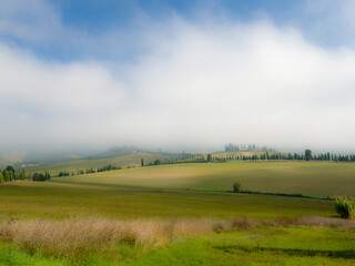 Italy, Tuscany. Foggy morning in Tuscany.