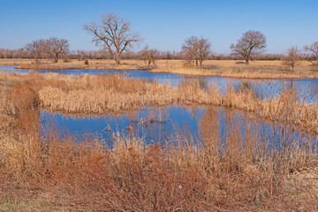 Flood Plain Wetlands Along the Platte River