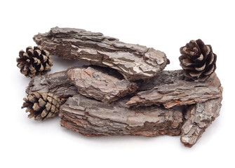 Bark and cones.