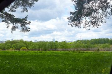 Beautiful empty green grass field in a summer or autumn day or evening. Nature rustic rural landscape