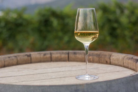 A glass of white wine on a wooden barrel against the backdrop of vineyards. picturesque background image with wine.
