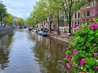 Fototapeta na wymiar Flowers in an Amsterdam canal