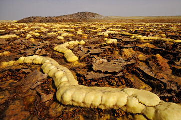 Étranges concrétions minérales en forme de chenilles sur le volcan Dallol dans le désert du Danakil en région Afar, Ethiopie
