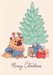 Cute dog pugin a knitted sweater on christmas card. Vector greeting card in flat style with lettering Merry Christmas