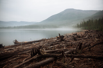Fototapeta na wymiar Fallen trees on the bank of the lake. Fog and hills in the background. Plato Putorana