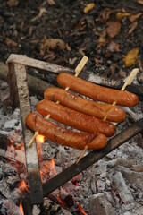 hot dog with a bottle in the woods