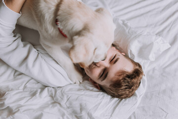 teen boy is lying in bed on white bedding with dog. top view. pet wakes up the owner in the morning. space for text. High quality photo