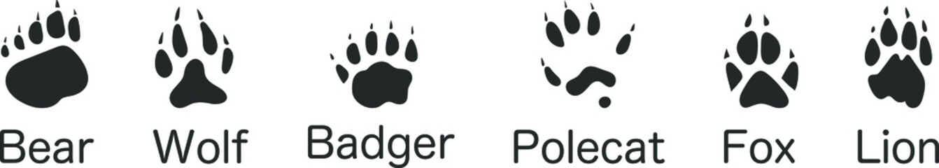 Animals footprints, paw prints. Set of different animals and birds footprints and traces. Bear, Wolf, Badger, Polecat, Fox, Lion. Vector illustration © vadymstock
