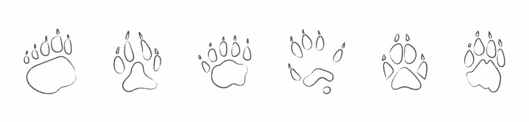 Animals footprints, paw prints. Set of different animals and birds footprints and traces. Bear, Wolf, Badger, Polecat, Fox, Lion. illustration