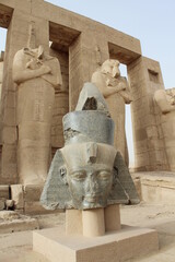 The head of Ramses 2 lying in front of statues row in the ramesseum temple in Luxor in Egypt