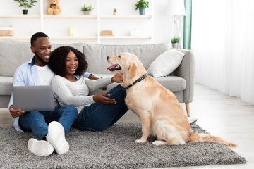 Young black couple at home using laptop playing with pet
