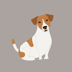 Purebred Jack Russell Terrier dog. Vector illustration of a cute character