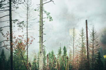Obraz premium Tatra Mountains in Poland Europe, View in Cloudy Weather, November.