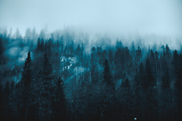 Tatra-gebergte in Polen, Europa, bekijken bij bewolkt weer, november.