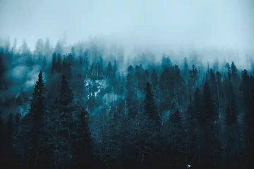 Velours gordijnen Mistig bos Tatra-gebergte in Polen, Europa, bekijken bij bewolkt weer, november.