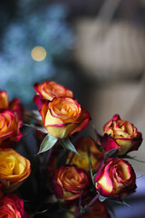 Closeup of Bright Colored Roses with a Blurry Background