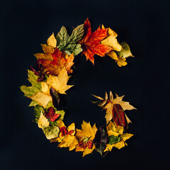 English alphabet made by autumn leaves. Natural colors Font for design on black background.