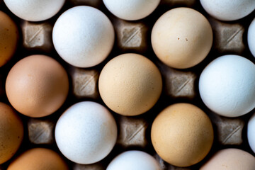 Jajka, Kurze jajka, zdrowe jajka, Jajka w pojemniku, jajka od zdrowych kur, kury z wolnego wybiegu, kolorowe jajka,  eggs, healthy eggs,  © Follow the Sun