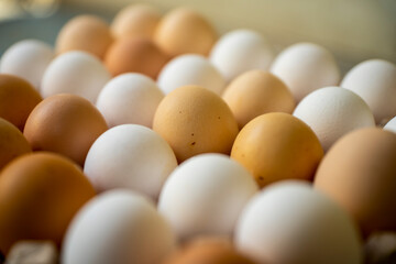 Jajka, Kurze jajka, zdrowe jajka, Jajka w pojemniku, jajka od zdrowych kur, kury z wolnego wybiegu, kolorowe jajka,  eggs, healthy eggs,  © Follow the Sun