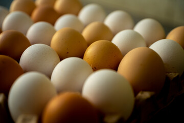Jajka, Kurze jajka, zdrowe jajka, Jajka w pojemniku, jajka od zdrowych kur, kury z wolnego wybiegu, kolorowe jajka,  eggs, healthy eggs,  © Follow the Sun