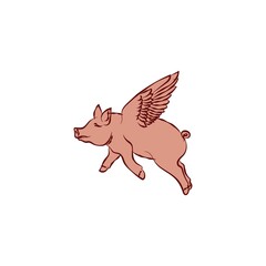 Flying Pig Logo Template. Vector illustration fantasy pig logo design.