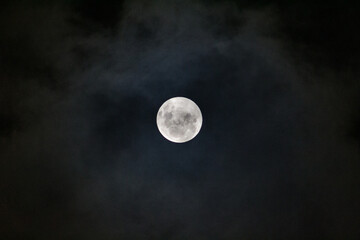 moon light, 
full moon