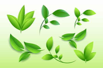 Natural green leaves element collection