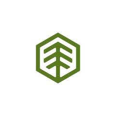 Evergreen Hexagon Logo design