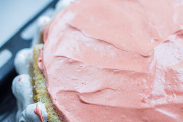 cake with pink protein cream. home cake. view from above. confectionery.