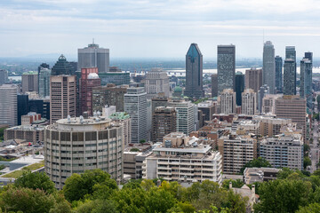 Fototapeta na wymiar View of the Montreal city downtown with these skyscrapers from the belvedere Kondiaronk of the Mont Royal park.