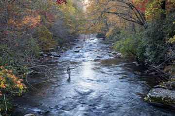 Fisherman fly fishing on a river on a fall morning in the North Carolina mountains with fall color