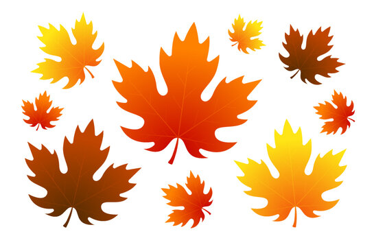 Autumn Fall Season Red and Yellow Maple Leaves Vector Collection Illustration icon clipart 