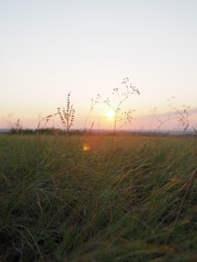 SUNRISE IN THE FIELDS