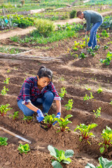 Latina woman caring for plants in garden with another worker in background