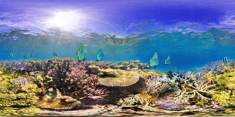 World Heritage Site New Caledonia Lagoon Coral Reef Batfish Platax Teira