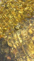 The clear water with sunlight