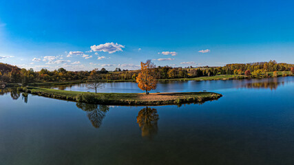 Fototapeta premium reflection of the sky and clouds orange tree