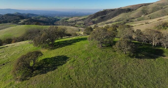 Drone Shot of Green Rolling Hills with Oak Trees, Mount Diablo State Park, Walnut Creek California