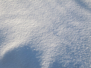 Shadows  and patterns on the surface  of snow