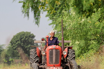 An Indian male senior farmer plowing the field with the help of a tractor plow