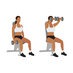 Woman doing Seated Dual front raises exercise. Flat vector illustration isolated on white background