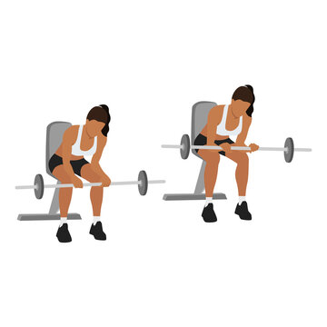Woman doing Seated Palm down wrist curls exercise. Flat vector illustration isolated on white background