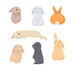 A set of cute rabbits on a white background. Cartoon design.

