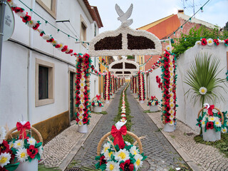 Portugal, Tomar. Festival of the Trays and street decoration