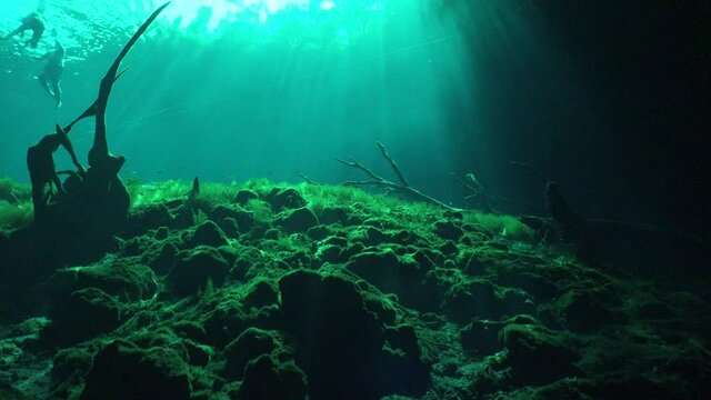 Underwater view of People swimming in entry to Cenote Cave sysytem Carwash in Yucatan Mexico