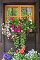 Europe, Slovenia, Bled. Flowers outside house window.