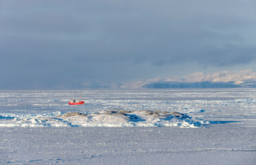 Ships in the sea ice of the frozen Disko Bay during winter, West Greenland, Denmark