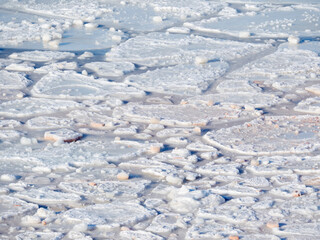Fototapeta na wymiar Pancake ice, new sea ice is building up. Disko Bay during winter, West Greenland, Disko Island in the background. Greenland, Denmark