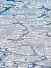 Pancake ice, new sea ice is building up. Disko Bay during winter, West Greenland, Disko Island in...